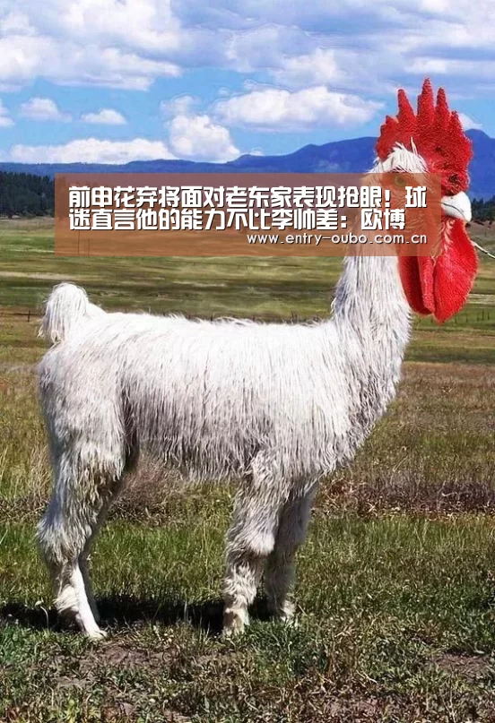 前申花弃将面对老东家表现抢眼!球迷直言他的能力不比李帅差:欧博游戏(图1) 欧博
