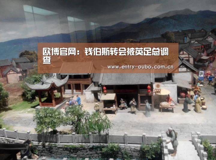 欧博官网:钱伯斯转会被英足总调查(图1) 欧博登入