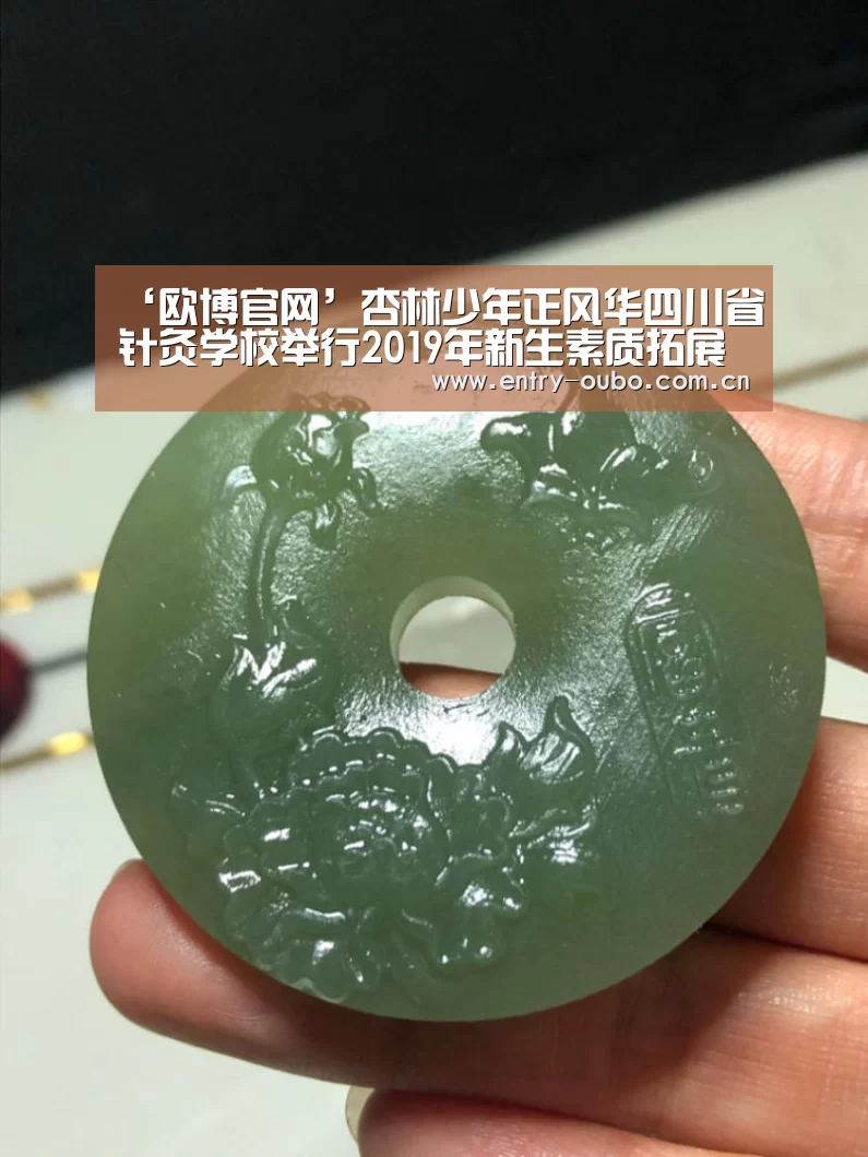 ‘欧博官网’杏林少年正风华四川省针灸学校举行2019年新生素质拓展训练结业暨开学典礼(图3) 欧博登入