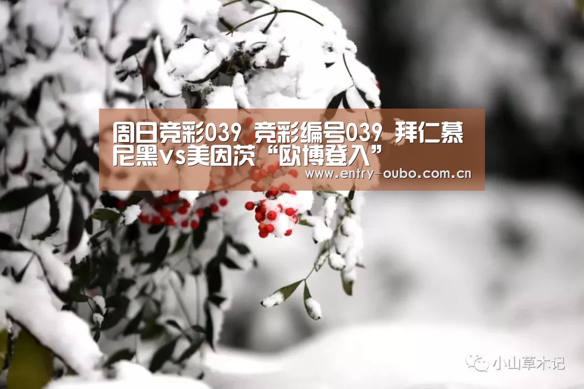 周日竞彩039 竞彩编号039 拜仁慕尼黑vs美因茨“欧博登入”(图2) 欧博官网