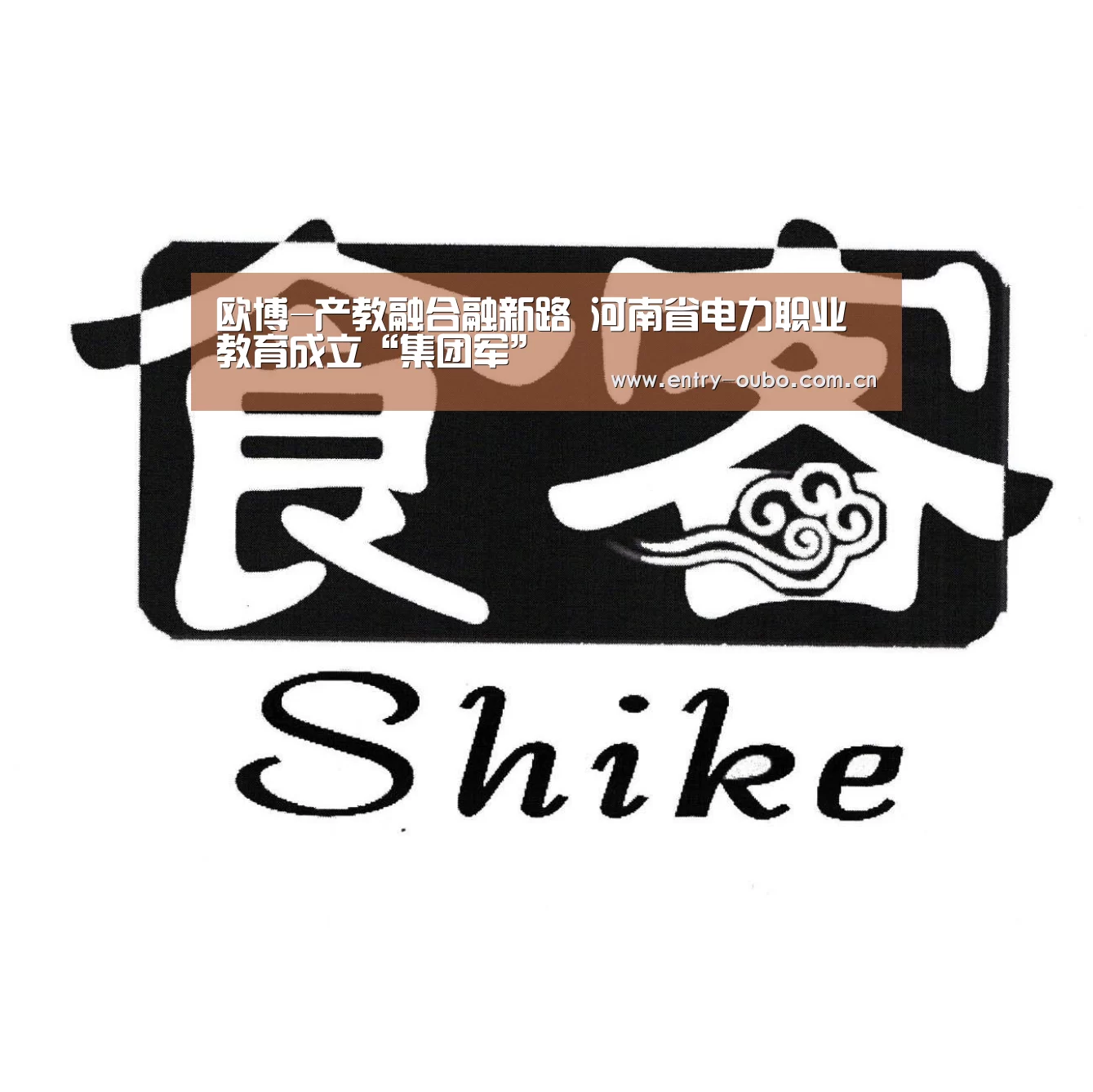 欧博-产教融合融新路 河南省电力职业教育成立“集团军”(图4) 欧博游戏