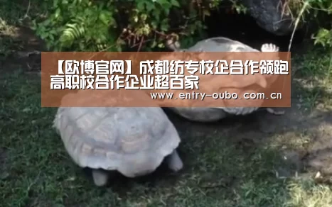 【欧博官网】成都纺专校企合作领跑高职校合作企业超百家(图1) 欧博