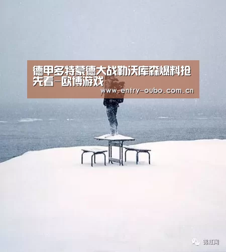 德甲多特蒙德大战勒沃库森爆料抢先看-欧博游戏(图1) 欧博登入